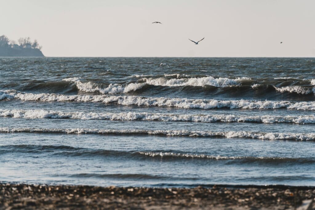 Lake Erie waves crashing along the shore with birds flying in the background