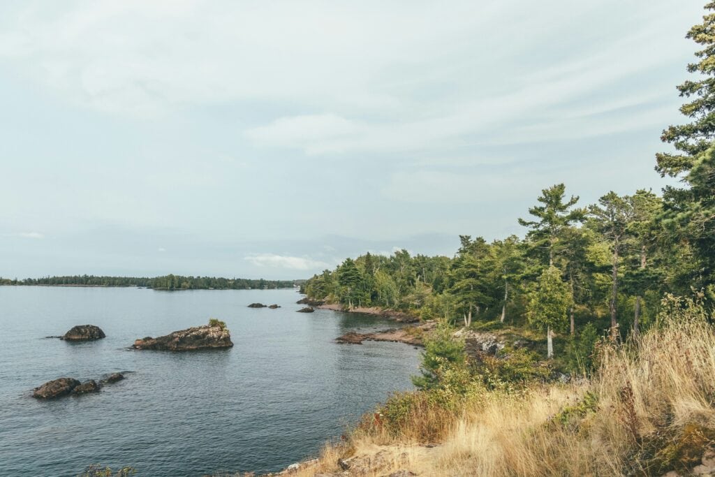 Lake Superior Wooded Coastline