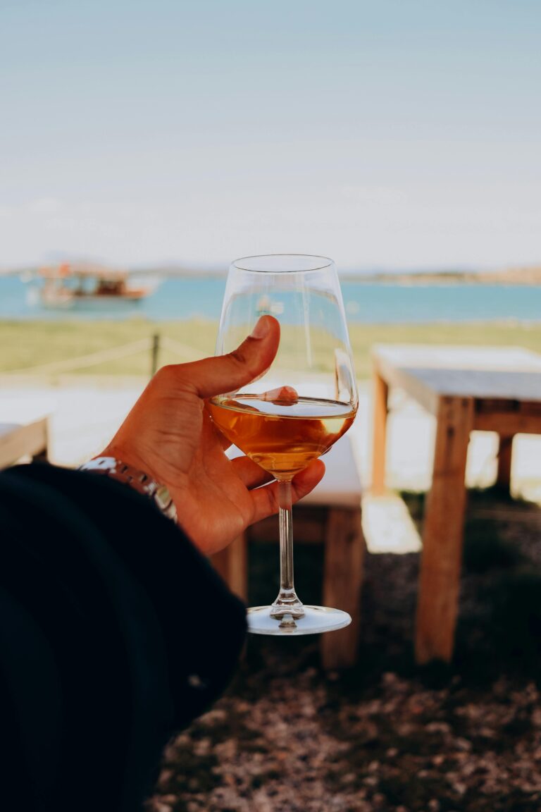 Wine Glass in front of lake