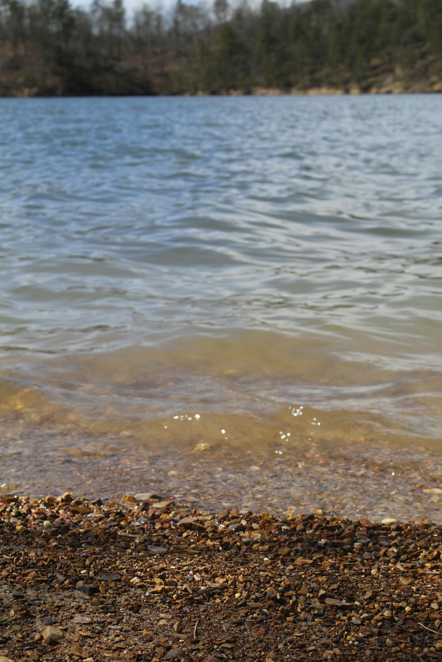 Tranquil lakeshore scene with pebbles and gentle waves in Roanoke, VA.