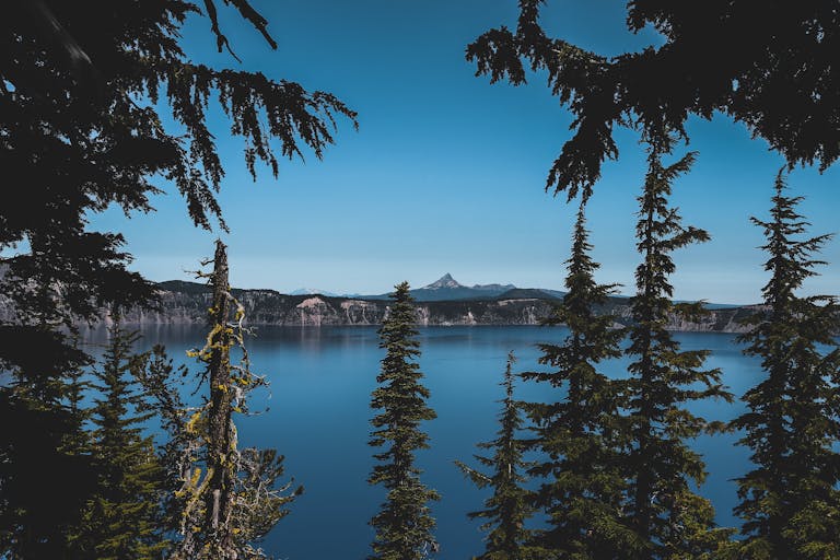 A tranquil view of Crater Lake framed by evergreen trees under a clear blue sky.