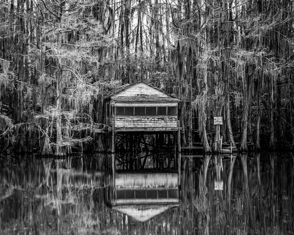 A vintage wooden building on Caddo Lake reflects amidst dense trees, creating a moody scene.