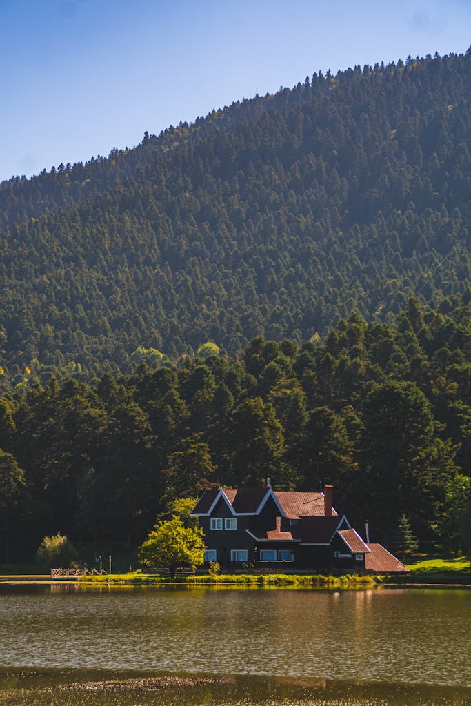 Charming wooden cabin by a tranquil lake in Bolu, Türkiye, surrounded by lush forest.