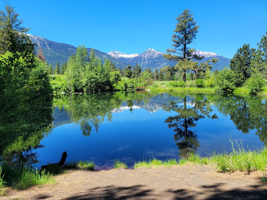 Peaceful lake in Joseph, Oregon reflecting lush greenery and mountains under clear sky.