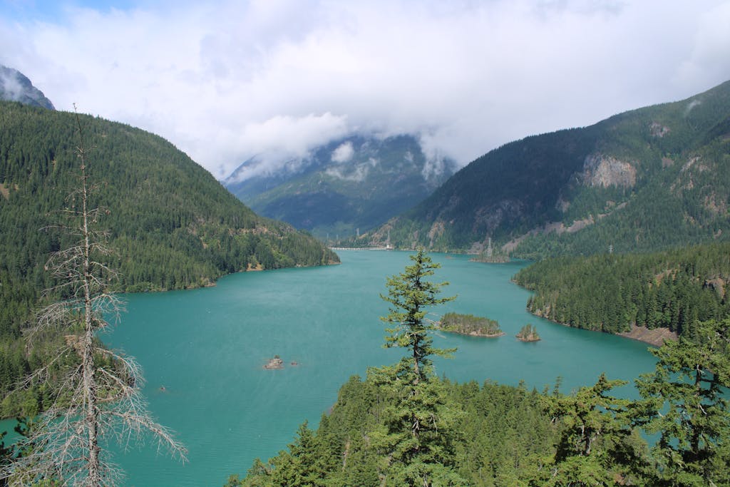 Peaceful view of Diablo Lake surrounded by lush mountains and forests in Washington State.