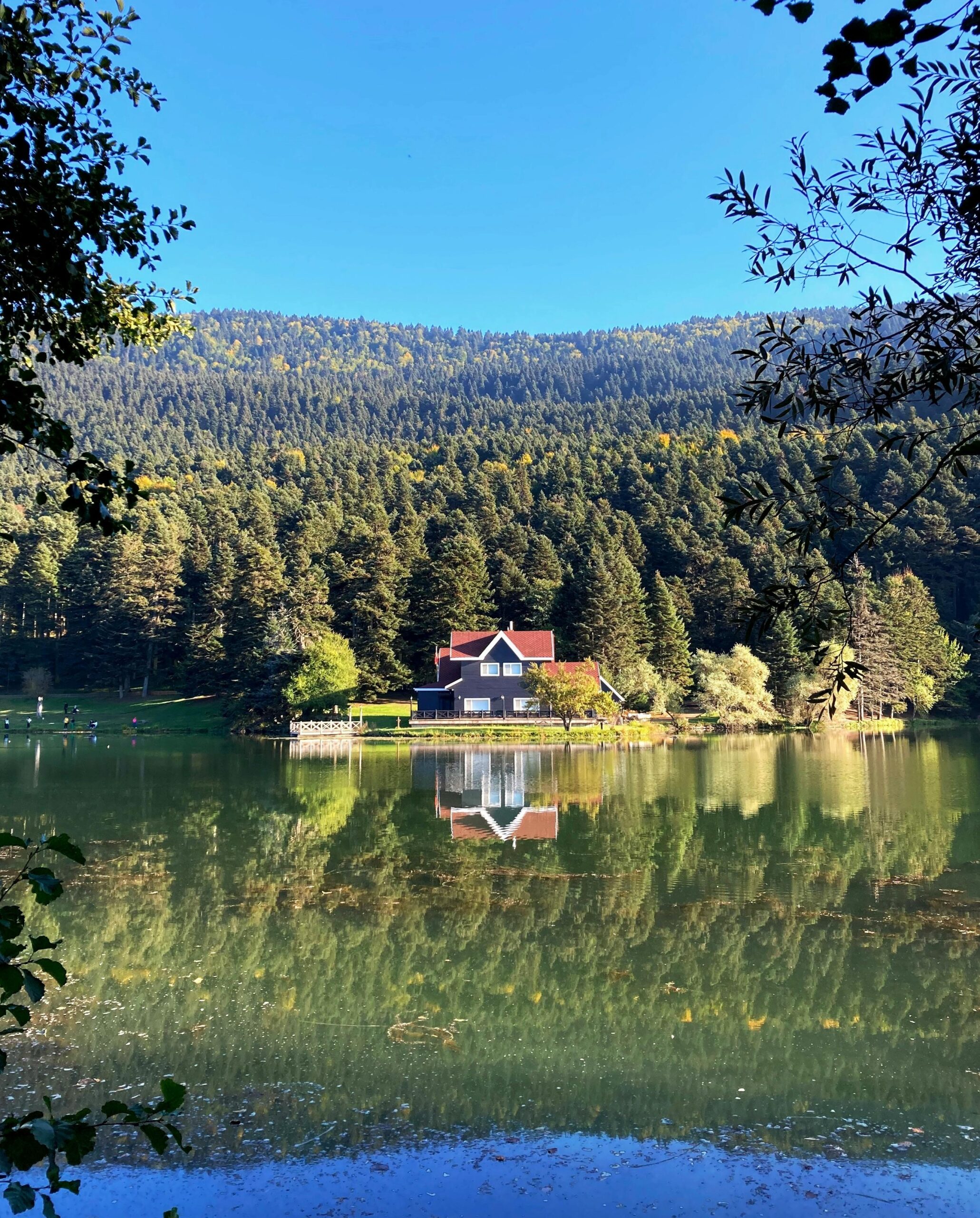 Large Lakefront House