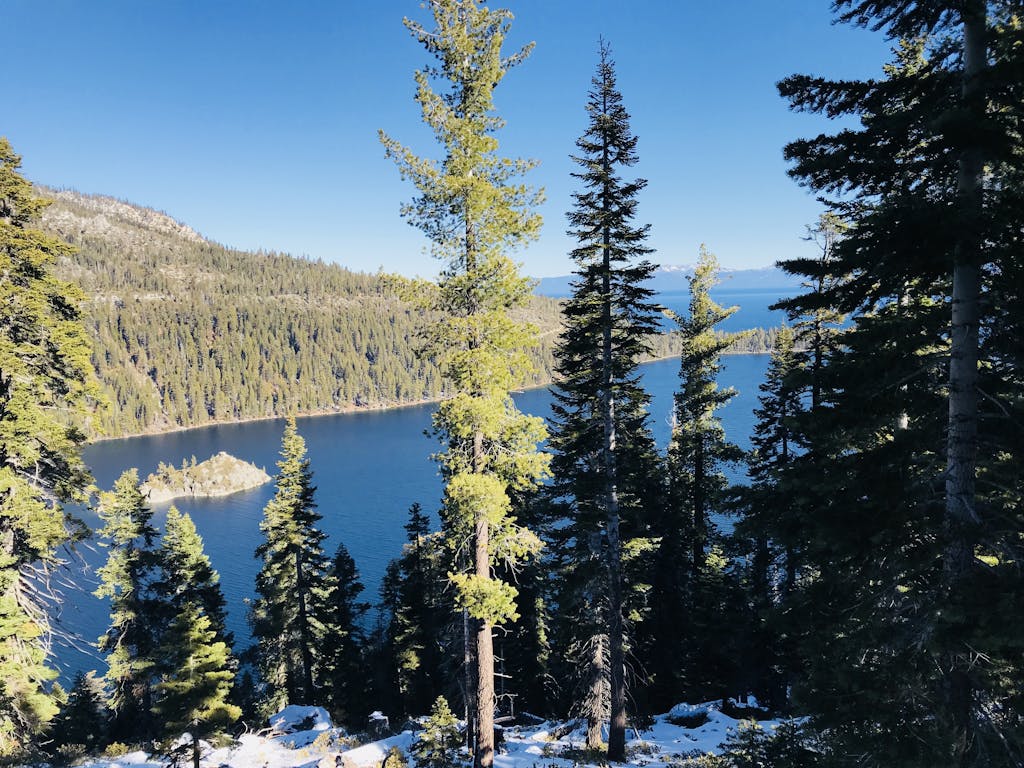 Stunning view of Lake Tahoe with evergreen trees and snowy landscape on a bright day.