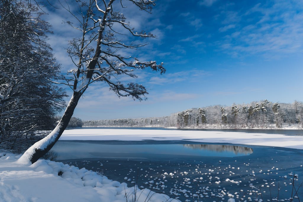 Lake from the shoreline covered in snow in the winter