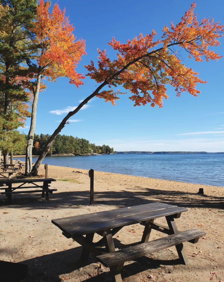 Sebago Lake State Park with sand on the beach and a picnic bench