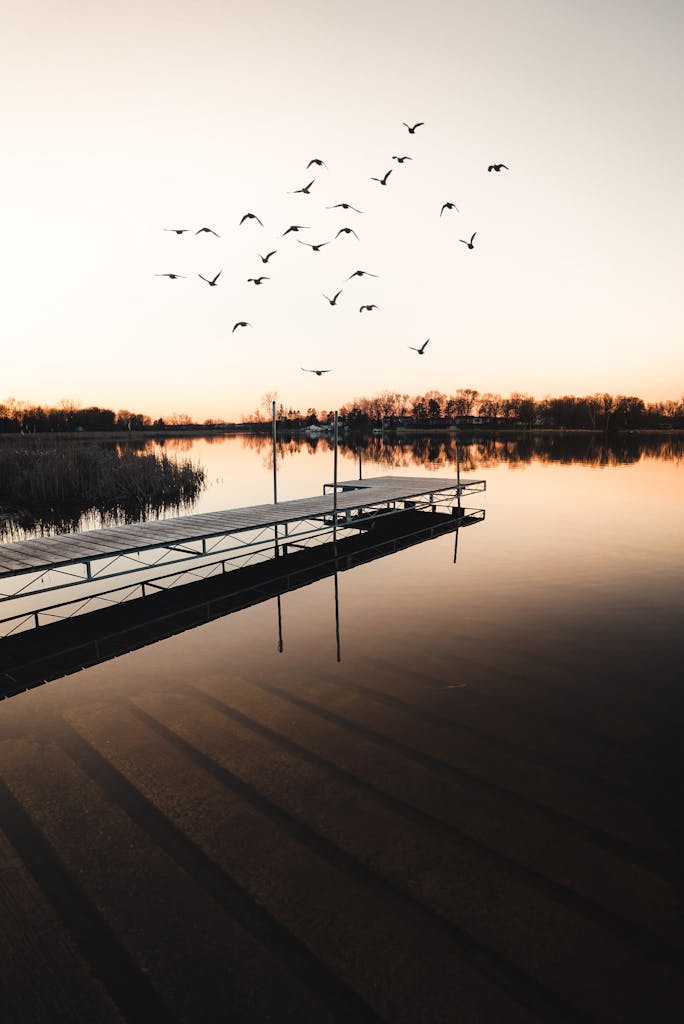 Calming sunset view over a Minnesota lake with birds flying above a pier, reflecting peace.