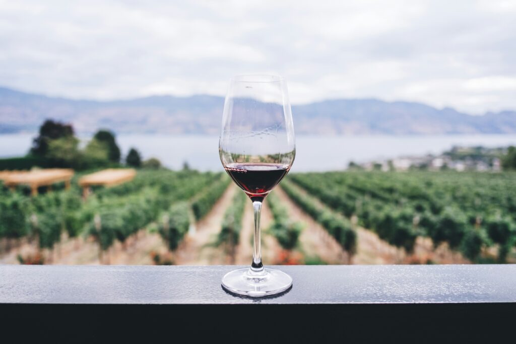 Wine glass in front of a Vineyard in front of a Lake