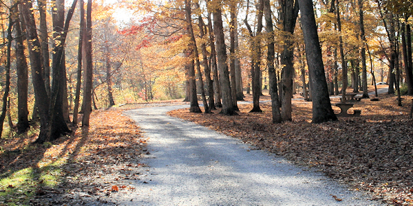 Land Between Lakes Road in the Fall with leaves changing colors