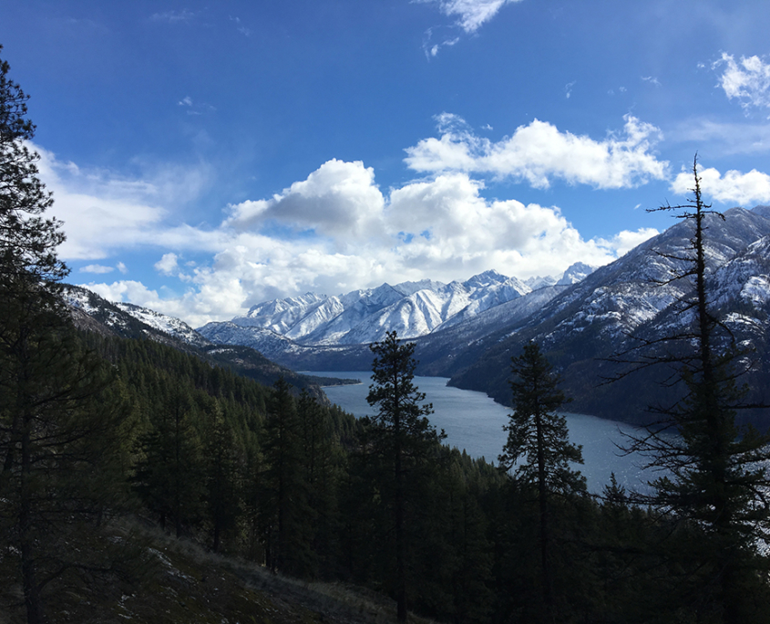 Chelan Lake surrounded by forests and white cap mountains in the distance