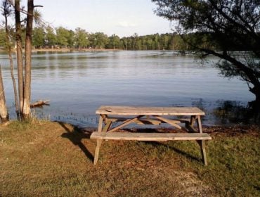 Picnic table along the shore of Lake Murray