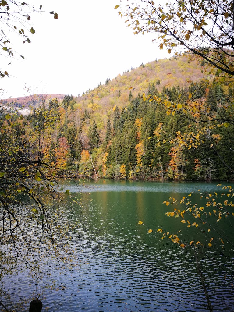 Serene lake surrounded by autumn foliage in the Georgian countryside, capturing a peaceful nature scene.