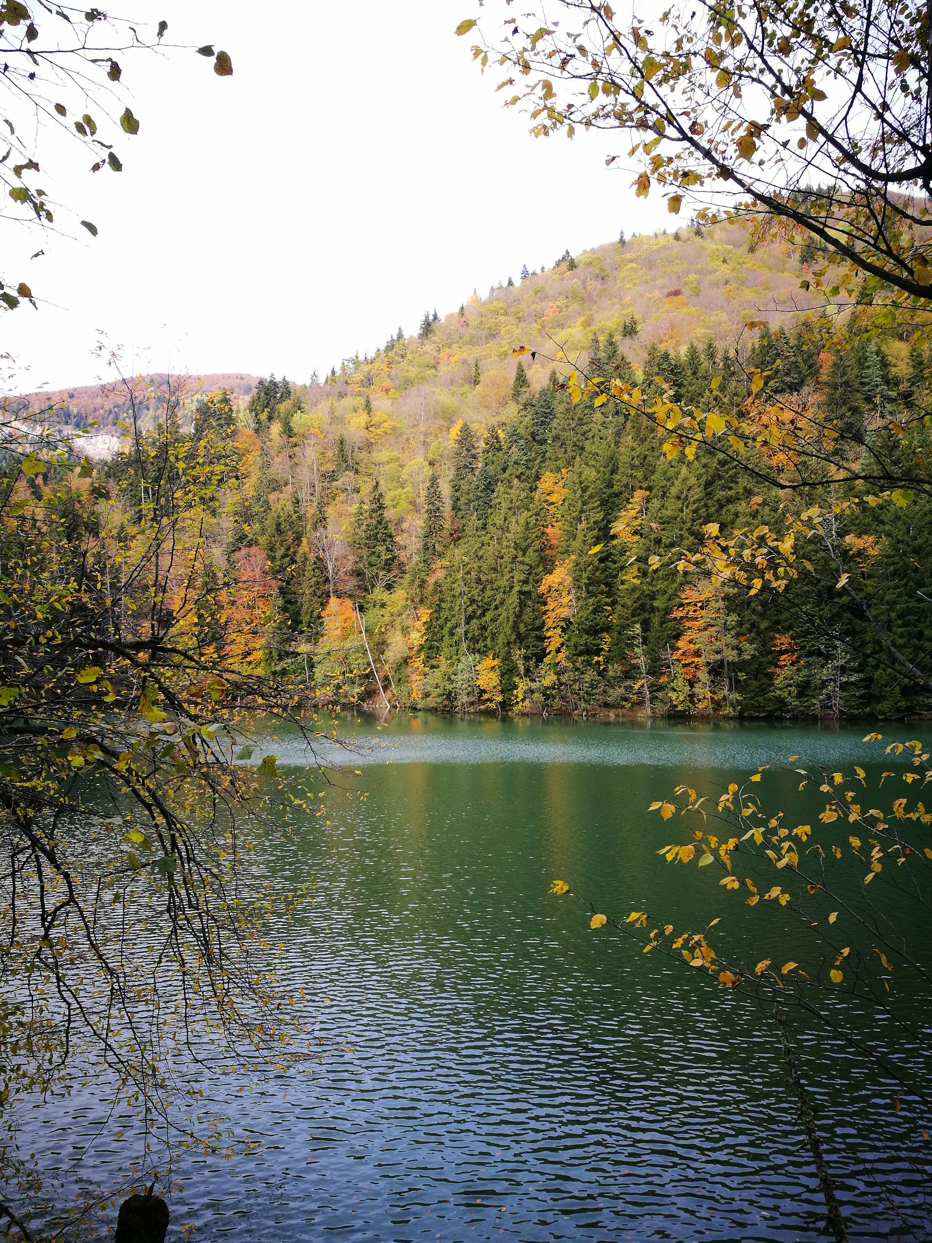 Serene lake surrounded by autumn foliage in the Georgian countryside, capturing a peaceful nature scene.